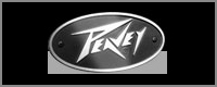 音箱廠商:美國百威公司品牌peavey(百威)