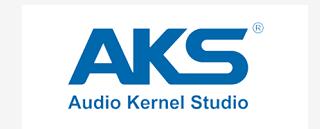 效果器廠商:廈門樂人電子有限公司 品牌AKS