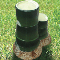 ANG-PAݵES-204,ղݵES-204-----c(din)Ŵ